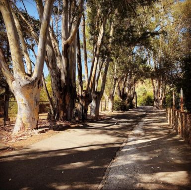 Alquiler de cortijo en Córdoba Cortijo para bodas en Córdoba Eventos en cortijo Córdoba Bodas en cortijo Córdoba Cortijo para eventos