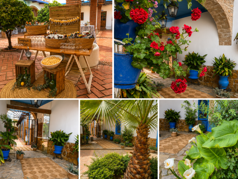 Entrada por los eucaliptos milenarios de Fernando III el Santo Alquiler de cortijo en Córdoba Cortijo para bodas en Córdoba Eventos en cortijo Córdoba Bodas en cortijo Córdoba Cortijo para eventos Córdoba Espacio para bodas Córdoba Lugar para eventos Córdoba Fincas para bodas Córdoba Alquiler de finca para eventos Bodas al aire libre Córdoba Celebraciones en cortijo Córdoba Cortijo con encanto Córdoba Bodas rústicas Córdoba Espacio para celebraciones Córdoba Alquiler de cortijo para bodas Eventos corporativos en cortijo Cortijo para fiestas Córdoba Bodas en finca Córdoba Alquiler de espacios para eventos Cortijo para eventos privados Córdoba